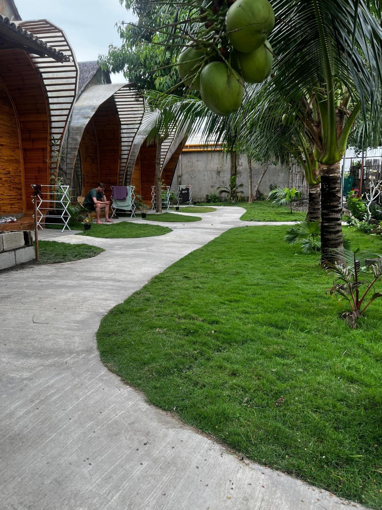 The Backyard Inn 莫阿尔博阿 外观 照片